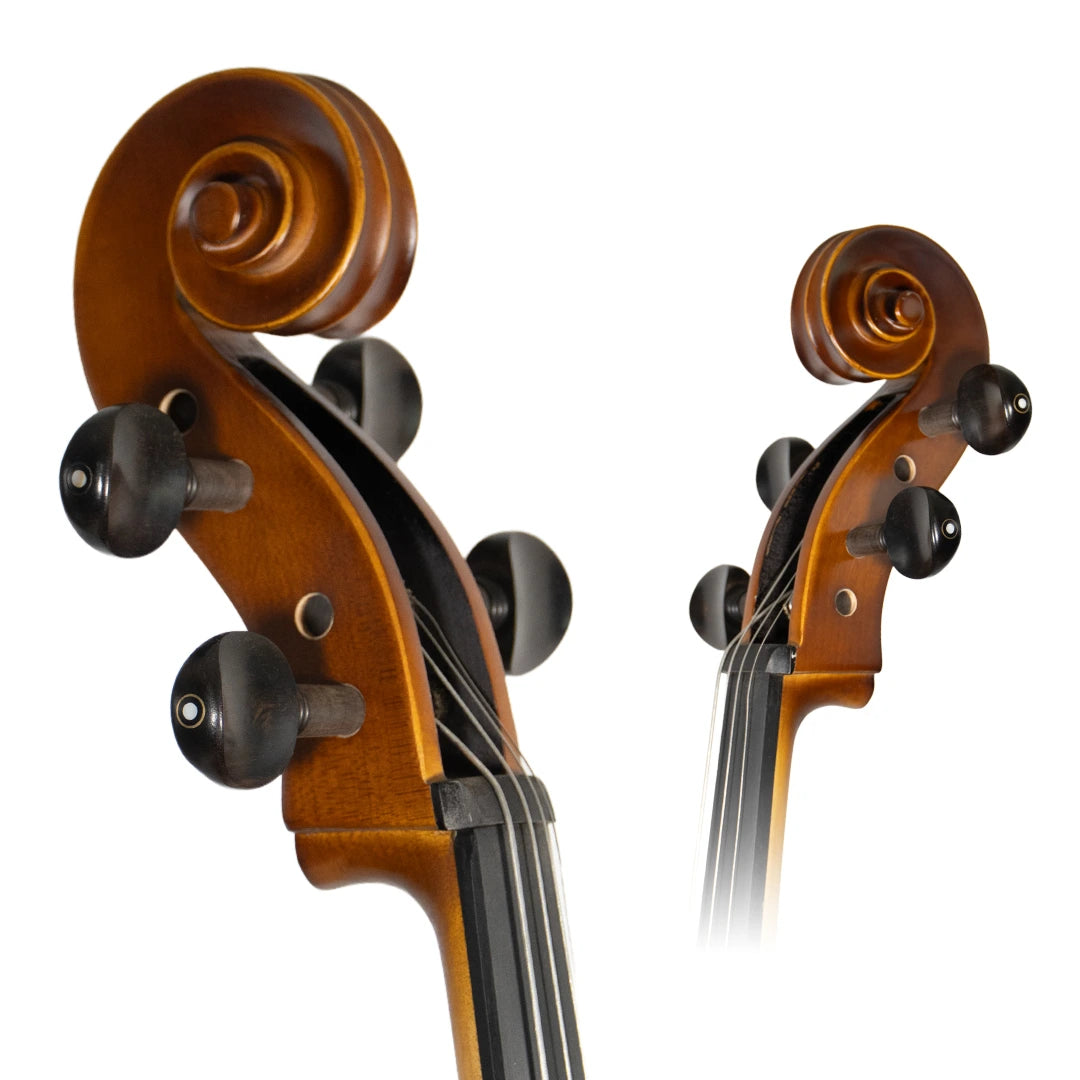 Cello 4/4 Apresto