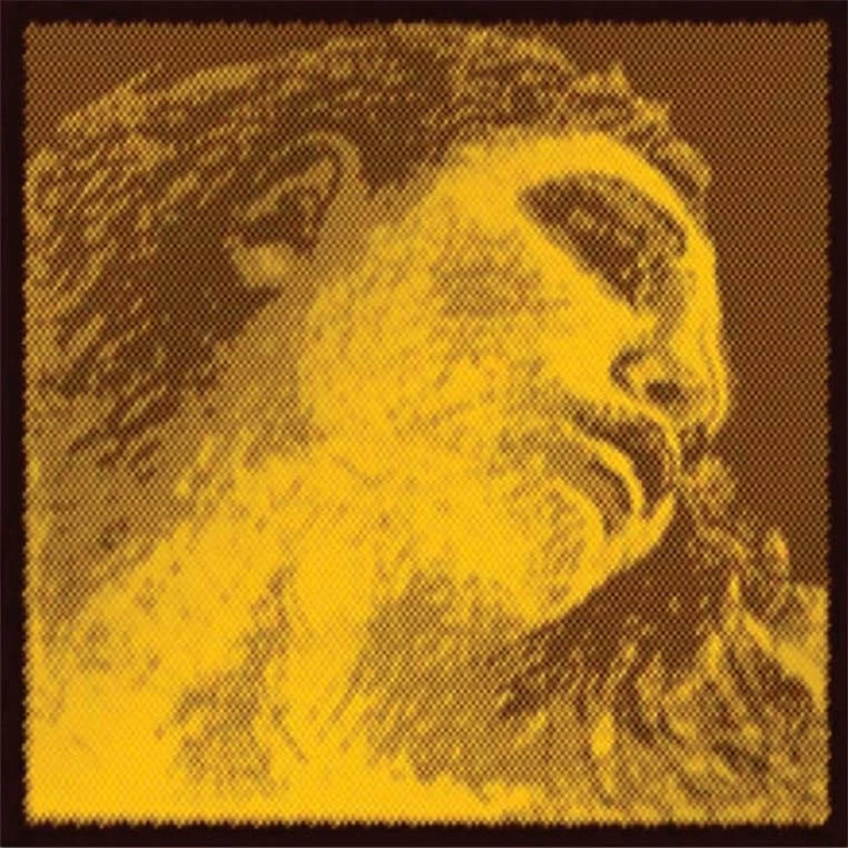 Set Cuerdas Violín 4/4 Pirastro Evah Pirazzi (Sol Oro)