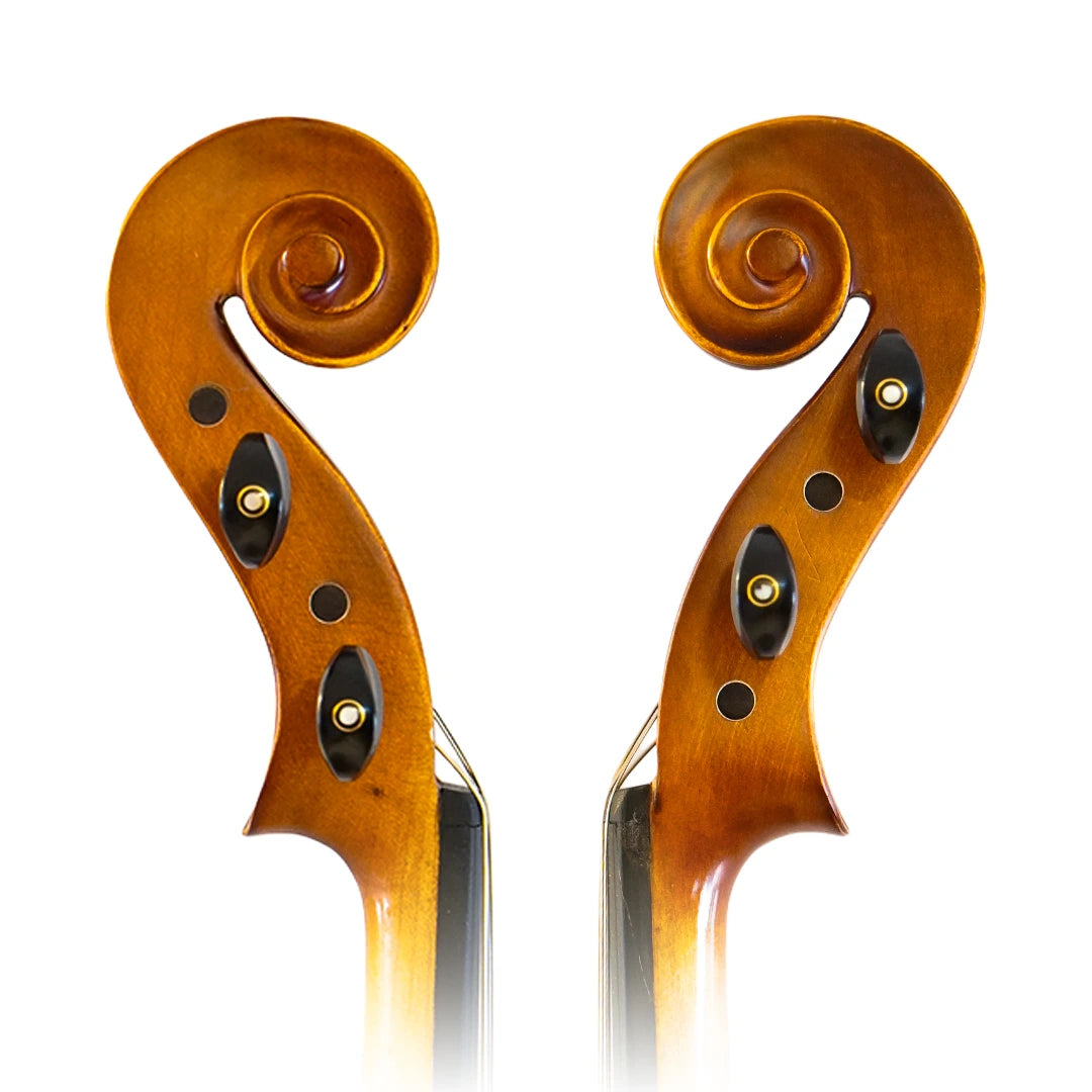 Viola 16" Apresto